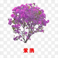 �Ͼ�-������