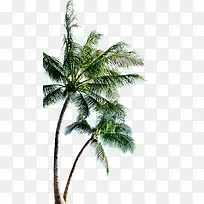 Ҭ����-������