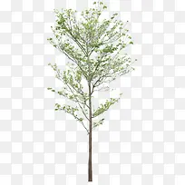 ����-������