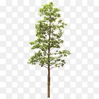 ����-������