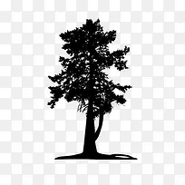 ʸ����ľ-������