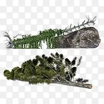 倒树-空若网 倒树-空若网