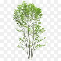 ����-������