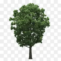 ����-������