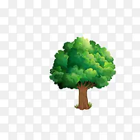 大树-空若网 大树-空若网