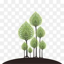 ������ľ-������