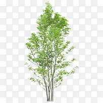 ����-������