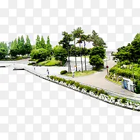 树-空若网 树-空若网