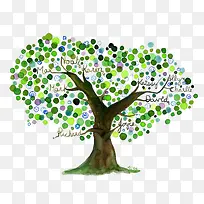 �ֻ���ľ-������