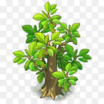 �ֻ���ľ-������