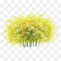 ��ɫ����-������