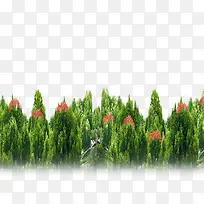 ��ɫ����-������