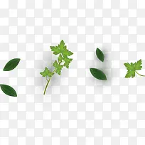 ʳƷ��ɫ��-������