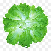 蔬菜-空若网 蔬菜-空若网