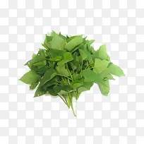 健康食物-空若网 健康食物-空若网