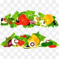 蔬菜-空若网 蔬菜-空若网