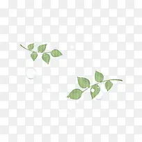 卡通手绘清新树叶-空若网 卡通手绘清新树叶-空若网