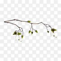 树枝树叶-空若网 树枝树叶-空若网