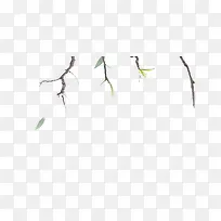 树枝-空若网 树枝-空若网