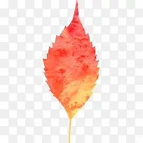 Ë®²ÊÊ÷Ò¶-¿ÕÈôÍø Ë®²ÊÊ÷Ò¶-¿ÕÈôÍø