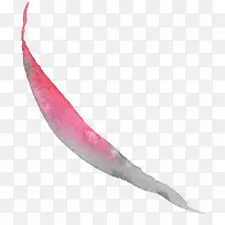 Ë®²ÊÊÖ»æÊ÷Ò¶-¿ÕÈôÍø Ë®²ÊÊÖ»æÊ÷Ò¶-¿ÕÈôÍø