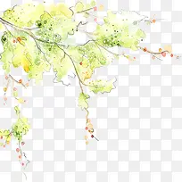 水彩树叶-空若网 水彩树叶-空若网
