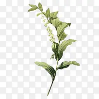 手绘树叶-空若网 手绘树叶-空若网