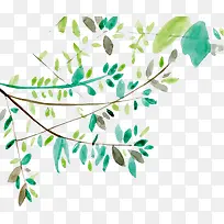 水彩绘绿色树叶树枝-空若网 水彩绘绿色树叶树枝-空若网