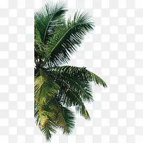 ��-������