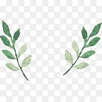 水彩树叶矢量图-空若网 水彩树叶矢量图-空若网