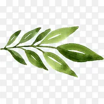 手绘树枝-空若网 手绘树枝-空若网