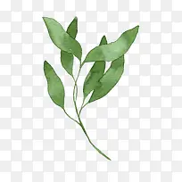 水彩风手绘树叶-空若网 水彩风手绘树叶-空若网
