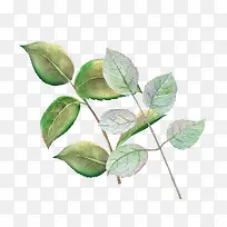 ˮ���ֻ�-������