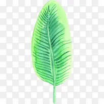 手绘水彩树叶-空若网 手绘水彩树叶-空若网