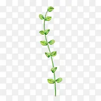 树枝树叶-空若网 树枝树叶-空若网