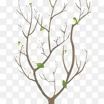 树枝-空若网 树枝-空若网