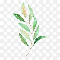 �ֻ�ˮ����Ҷ-������