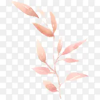 �ֻ�ˮ����Ҷ-������