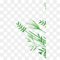 С��С��Ҷ�����ֻ�-������