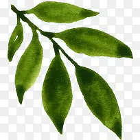 �ֻ���֦-������