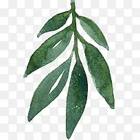 手绘树枝-空若网 手绘树枝-空若网