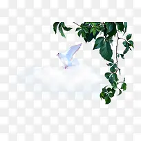 װ����֦��Ҷ-������