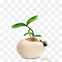 С²Ý-¿ÕÈôÍø С²Ý-¿ÕÈôÍø