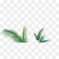 草-空若网 草-空若网