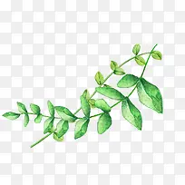 ˮ���ֻ�-������