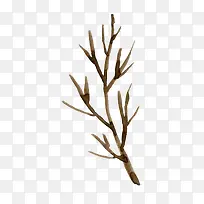 ��֦-������