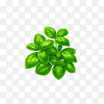 绿色手绘插画树叶-空若网 绿色手绘插画树叶-空若网