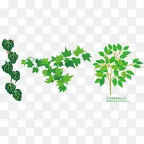 ��ɫ��Ҷ-������