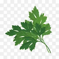 矢量小草-空若网 矢量小草-空若网