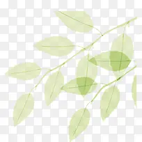 清新树叶树枝-空若网 清新树叶树枝-空若网